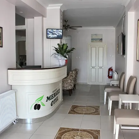 Merkez *